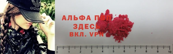 ECSTASY Алексин
