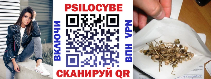 Псилоцибиновые грибы Psilocybine cubensis  Купить  Выкса 