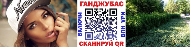 Конопля сатива  Купить закладки  Выкса 